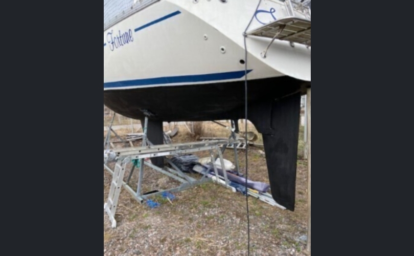 Jeanneau Sun Rise 345-kuva-8